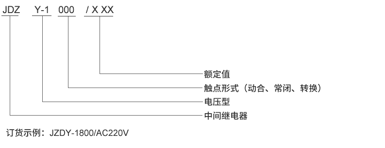 JDZY-1010型號及其含義